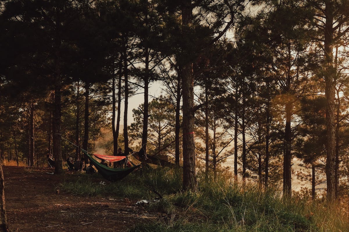Les meilleurs spots de camping sauvage dans les Landes – Découvrez la nature préservée des Landes